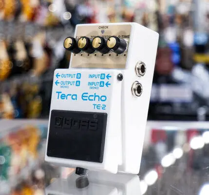 BOSS - TE-2 Tera Echo Pedal 2